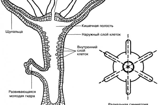 Кракен kr2connect co